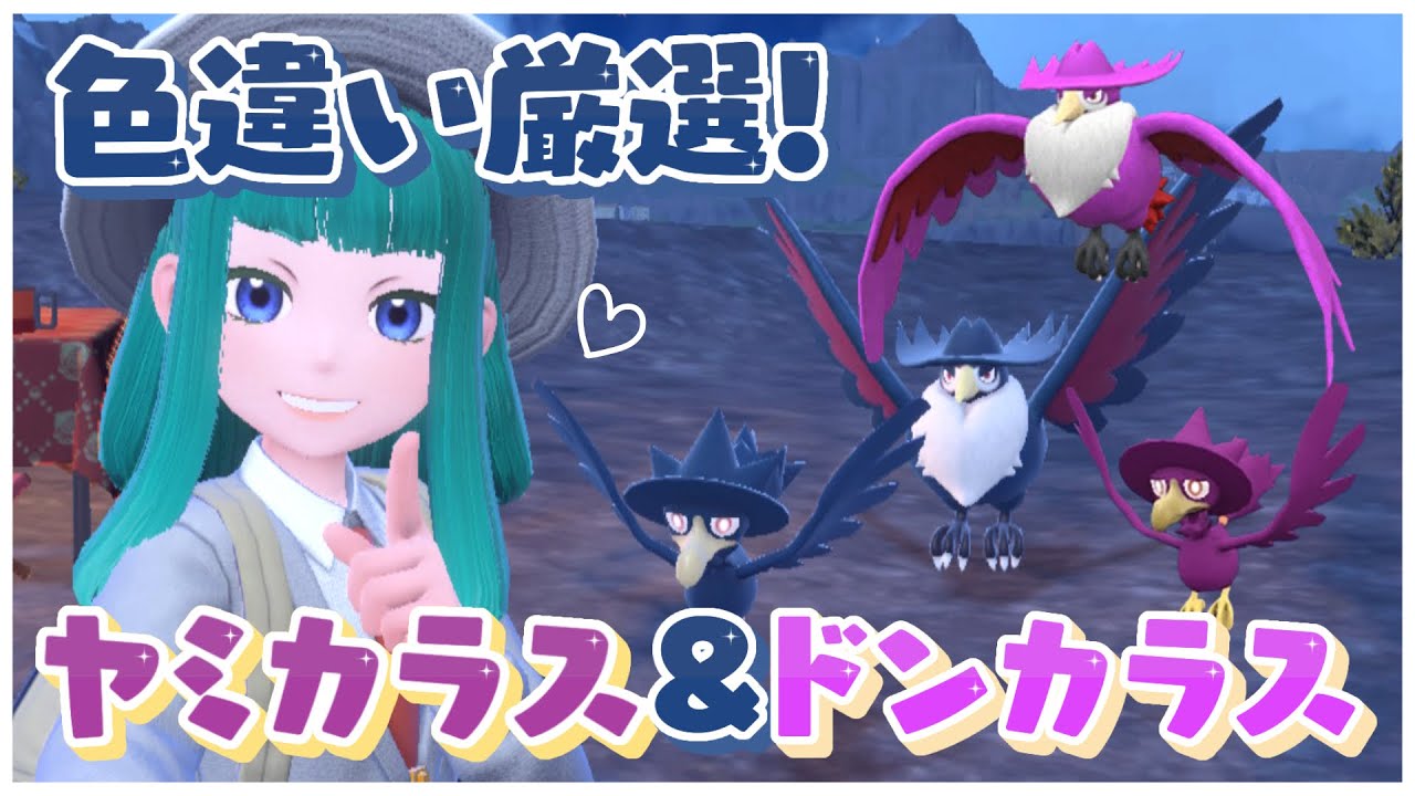 【#ポケモンSV 】色違いヤミカラス&ドンカラス厳選！#145【Lapinna】