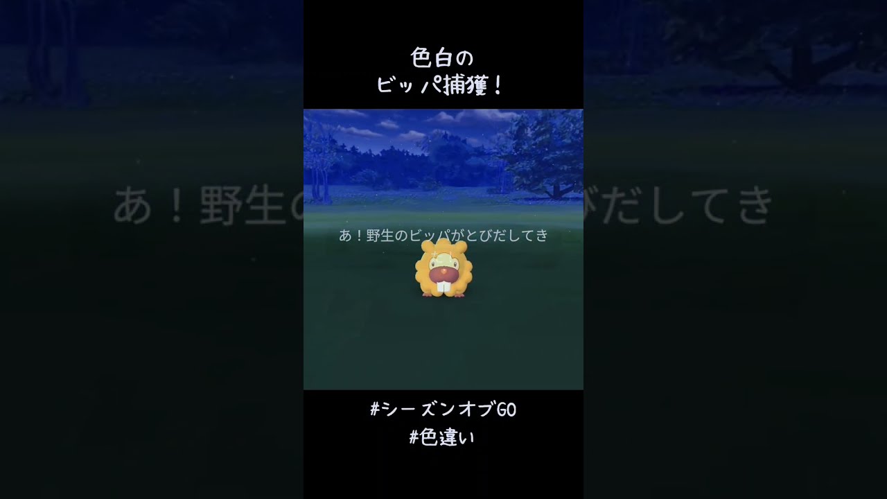 昨日に引き続き色白のビッパ捕獲✨✨✨こいつもかわいい😍#ポケモンGO #色違い
