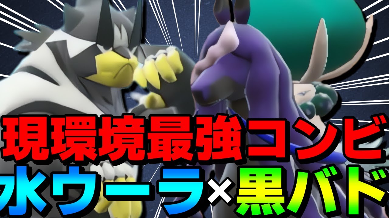 【レンタル有】現環境最強コンビ！黒バドレックス×水ウーラオスが強すぎるwww【ポケモンSV】