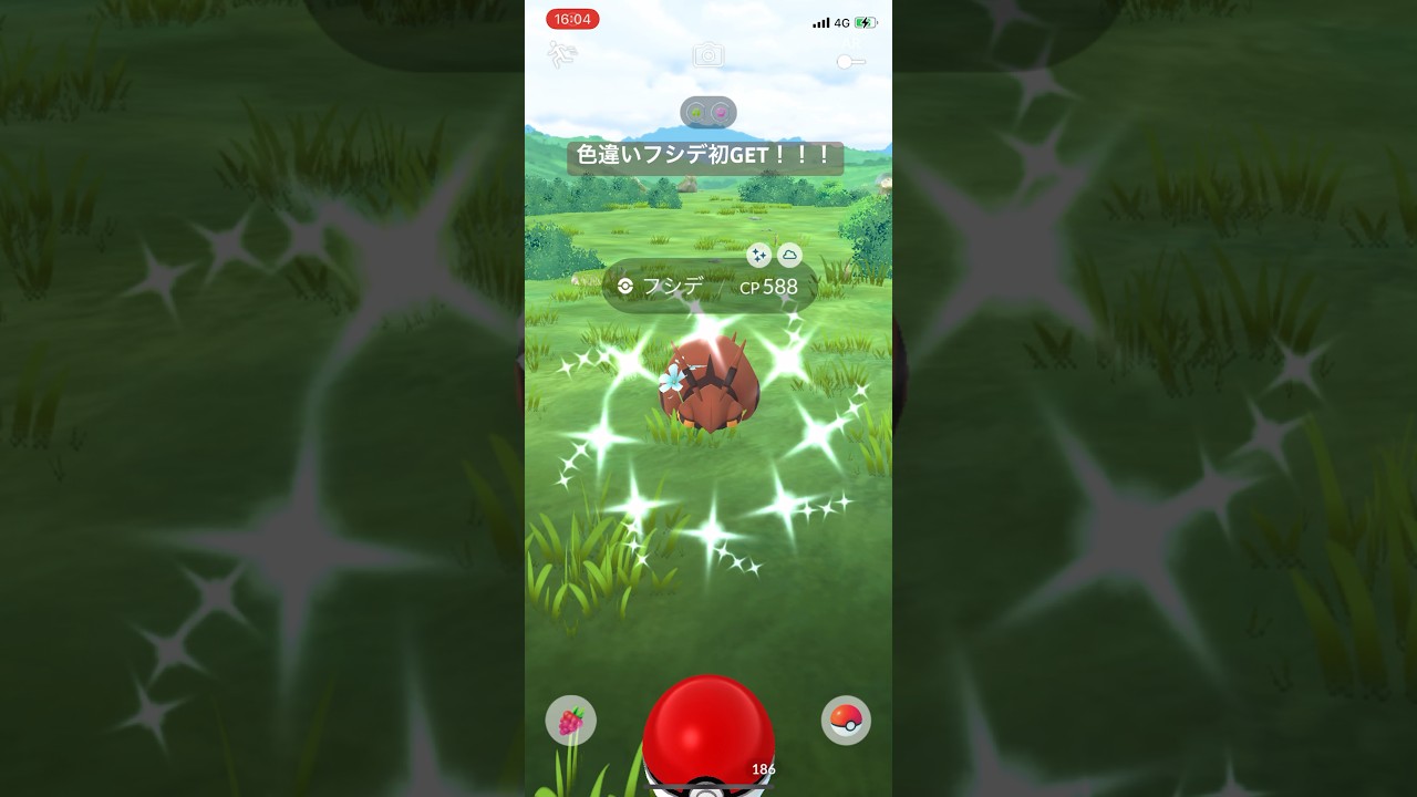 ポケモンGO色違いフシデ初GET#ポケモン #ポケモンgo #pokemongo