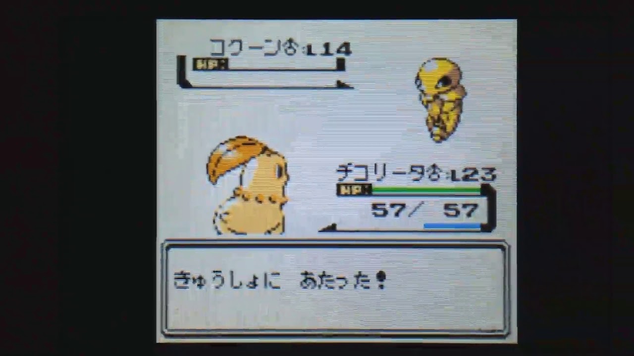 色チコリータ1匹の旅～008ヒワダジム ツクシ戦～【ポケモン金VC】