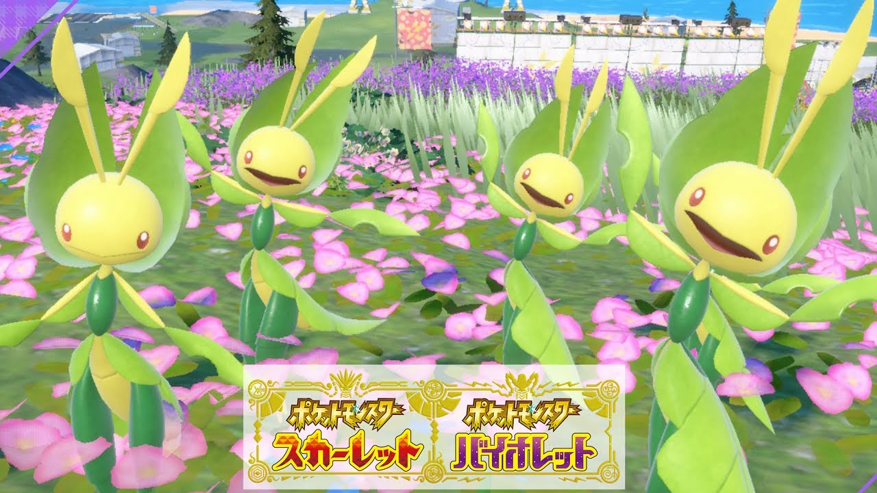 ハハコモリ６匹に囲まれて癒されピクニック【ポケモンSV】