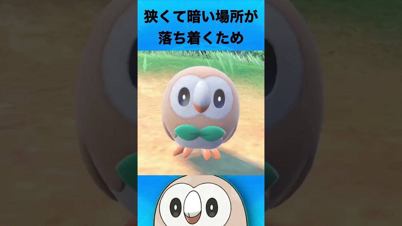 モクローについて #ポケモン #モクロー