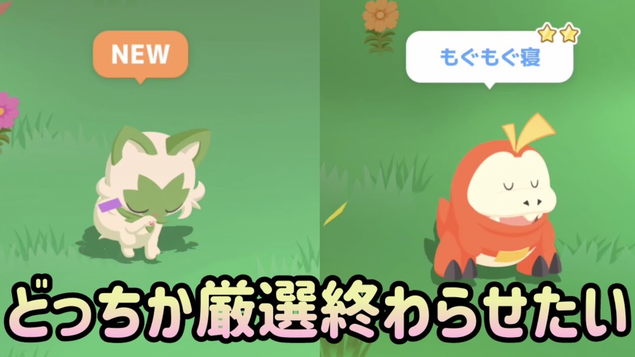 【ポケスリ】ワカクサで御三家の厳選終わらせたい！【ポケモンスリープ】【POKEMON】
