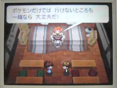 ポケモン ブラック2・ホワイト2「色違い フカマル（ブラック2限定）」