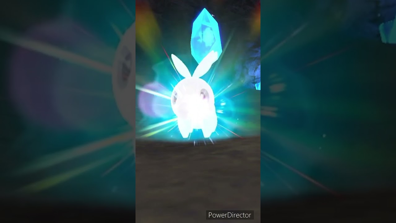 【ポケモンバイオレット】進化　ポカブ→チャオブー　#ポケモンバイオレット #ゲームリハビリ #切り抜き #shorts