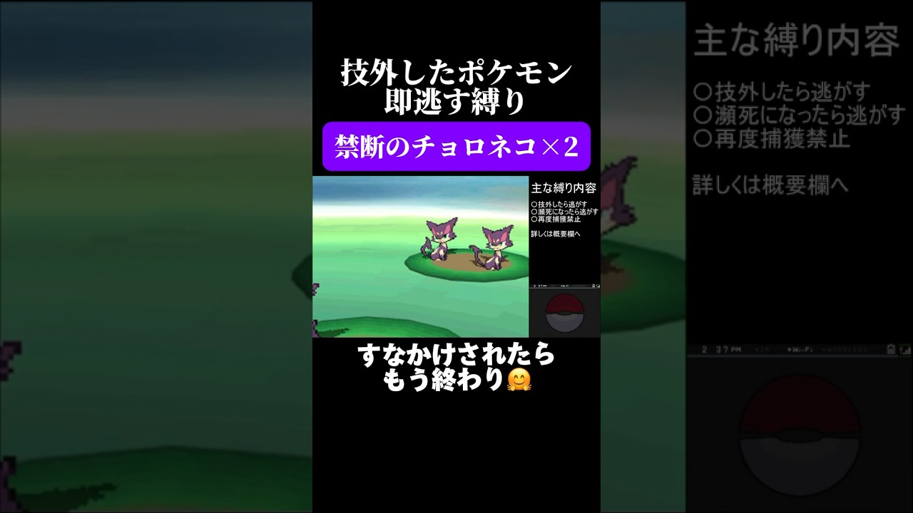 【技外したら即逃す】チョロネコに分からされる実況者 #shorts #おもしろ #ゲーム実況 #ポケモン #ポケモンbw #人生縛り #ゲーム #ゲーム実況者 #ポケットモンスターホワイト