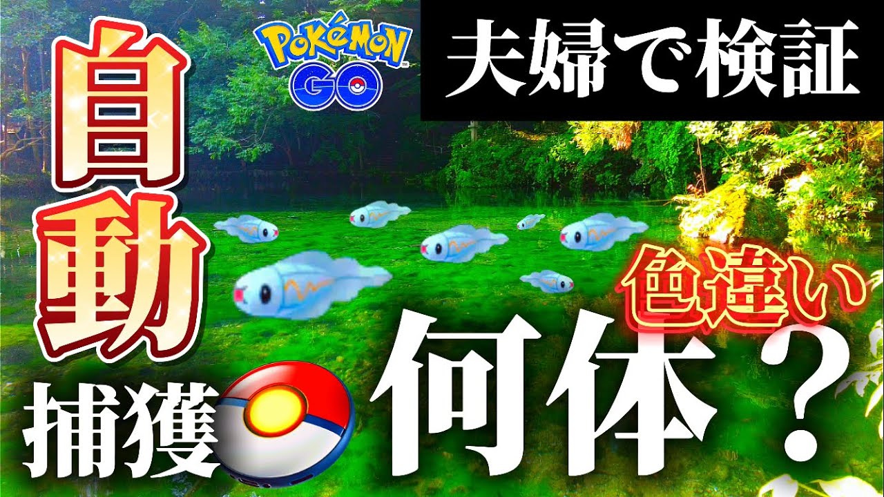 【夫婦で検証】『名水百選』でシビシラスを自動捕獲だけで釣る夫婦【ポケモンGO】