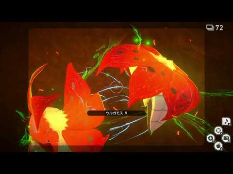 Newポケモンスナップ　★3ウルガモス【6530】