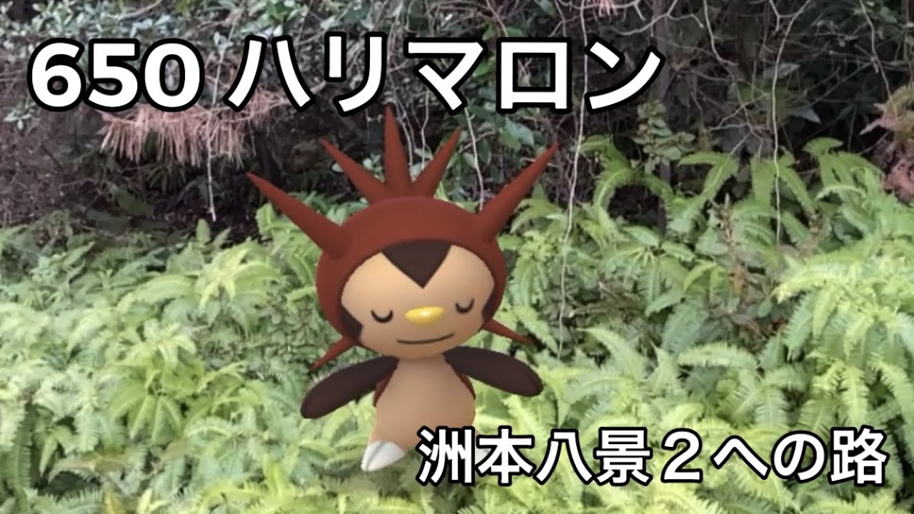 【ポケGO動くポケモンずかん】650ハリマロン｜Chespin｜Shiny Pokémon｜AR動画｜PoKeMoN GO AR【ポケモンGO】Pokemon GO CommunityDay