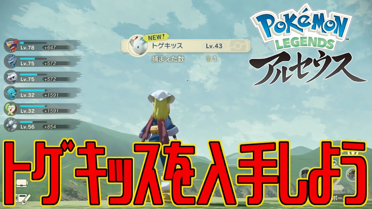 【ポケモンアルセウス】トゲキッスを入手しよう【Pokémon LEGENDS アルセウス】