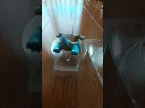 モンコレ　カメックス