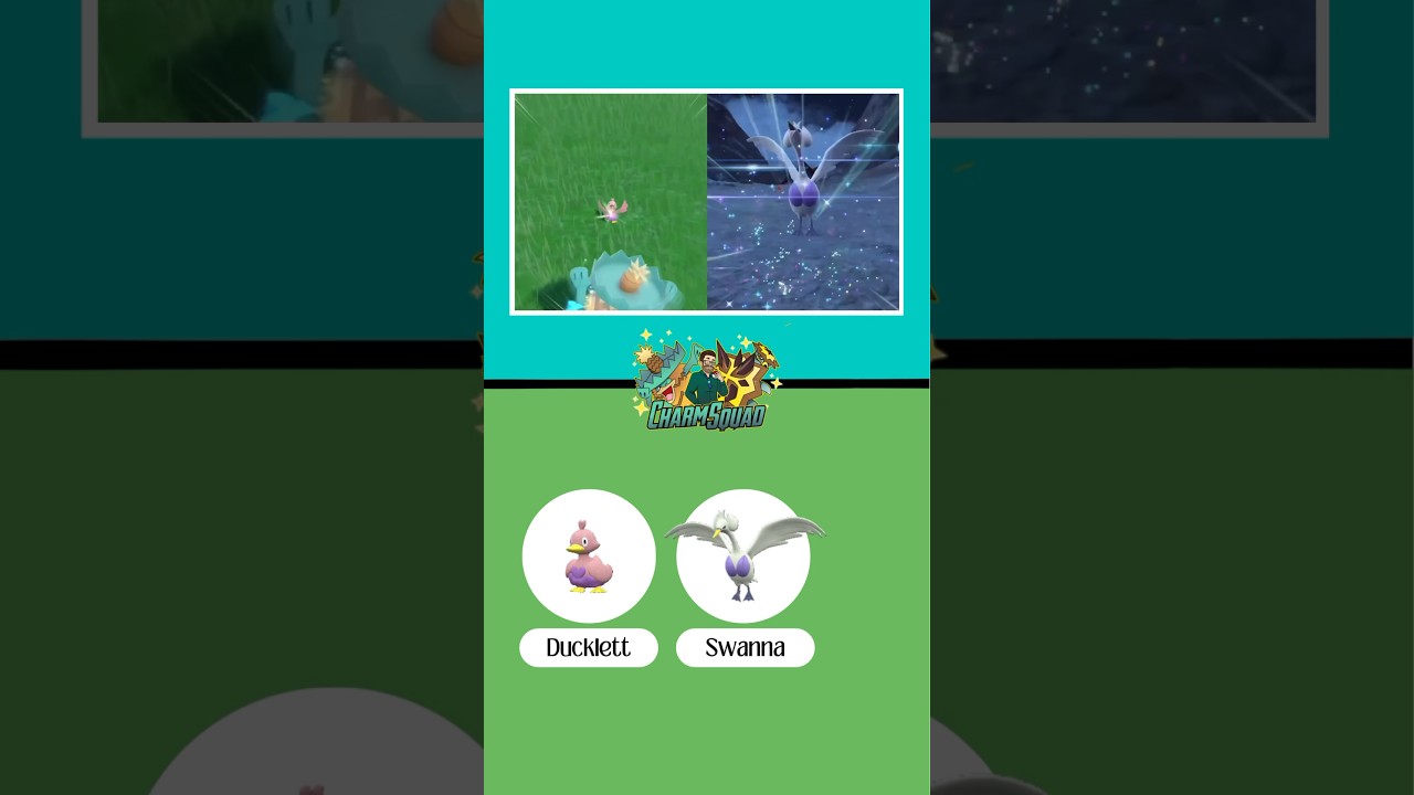 #shinyducklett #shinyswanna #ducklett #swanna #shinyhunting #shinypokemon #charmsquad #pokemon