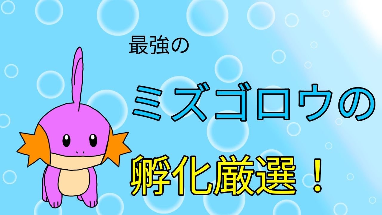 【作業用】ミズゴロウの孵化厳選 part18