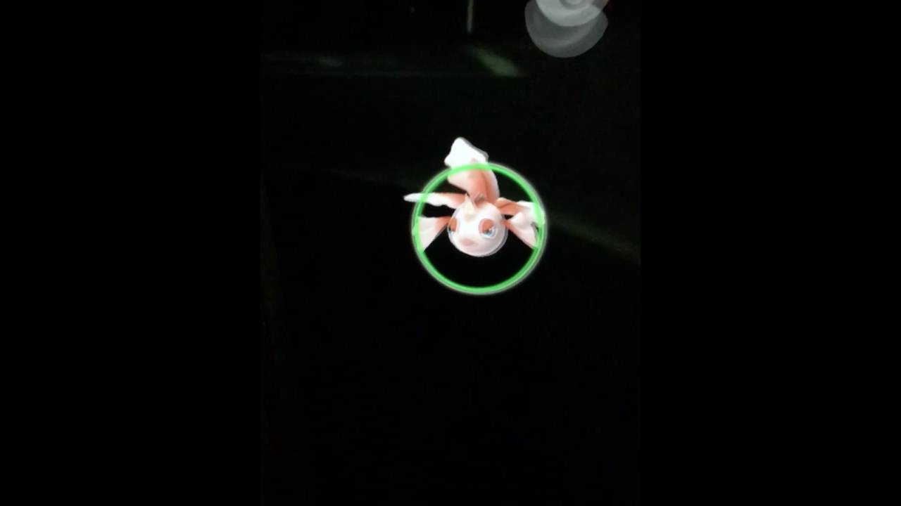 ポケモンGO トサキントGET