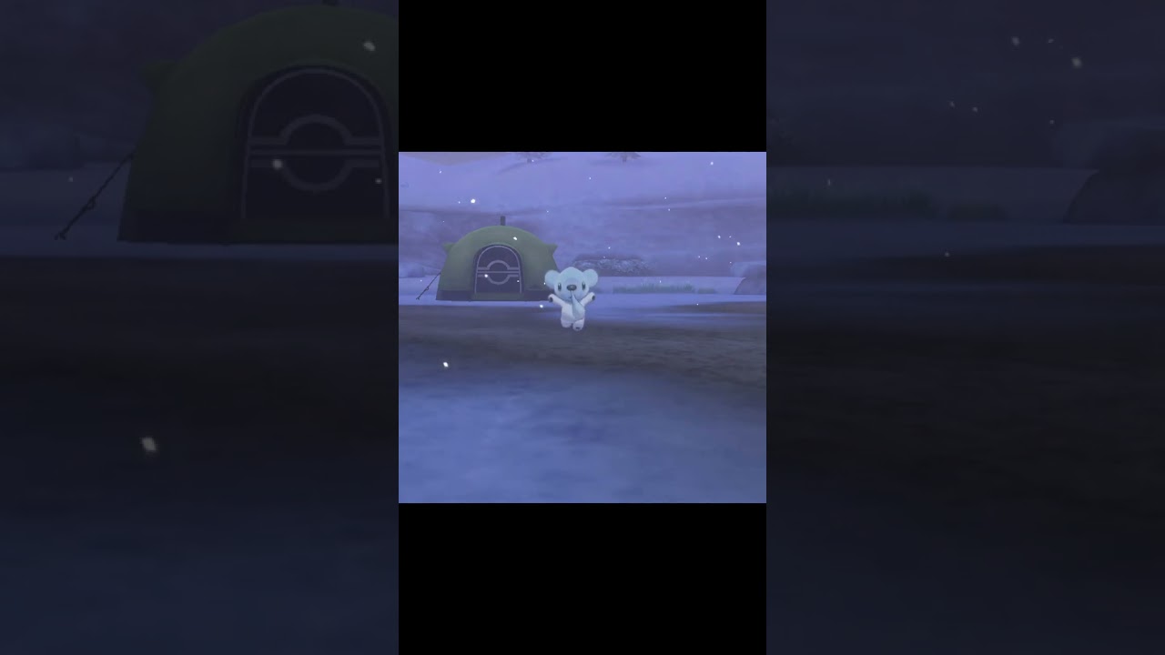 駆け寄ってくるクマシュン　#Shorts