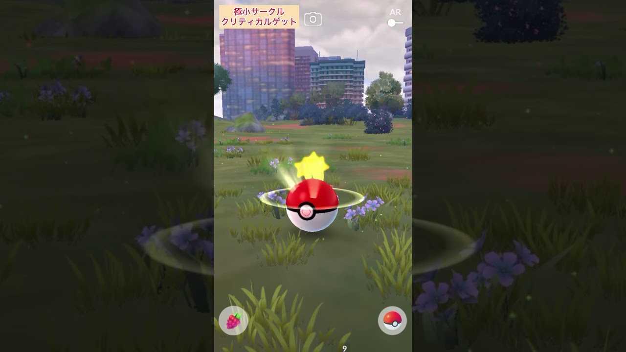 【難易度中】アローラディグダ極小サークルクリティカルゲット！【ポケモンGO】