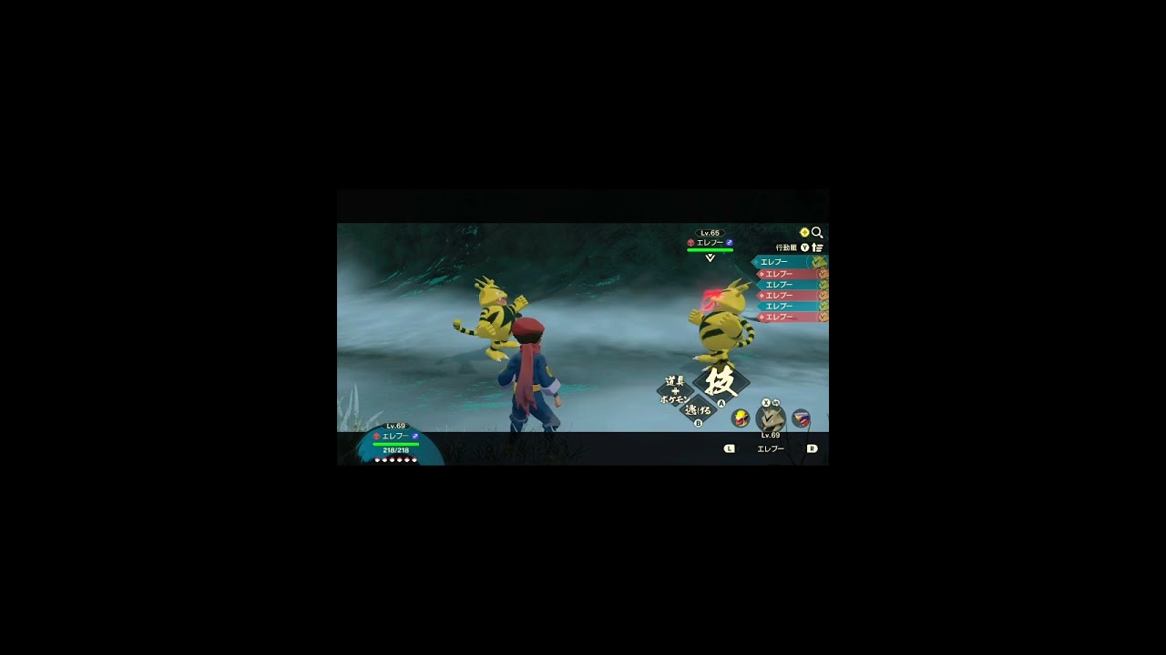 エレブーｖｓエレブー【Pokémon LEGENDS アルセウス】