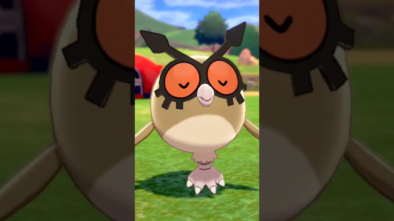 ホーホー Hoothoot【ポケモン剣盾】