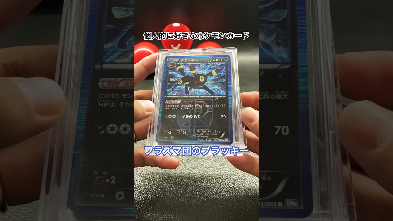 #ポケカ #ポケモンカード #pokémon #pokemon #ブラッキー