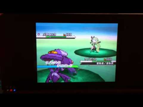 ケルディオメロエッタゲノセクト