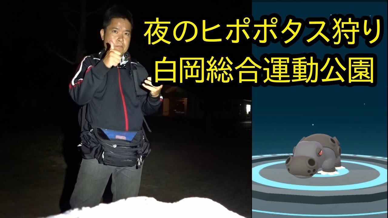 【ポケモンＧＯ】夜のヒポポタス狩り in 白岡総合運動公園