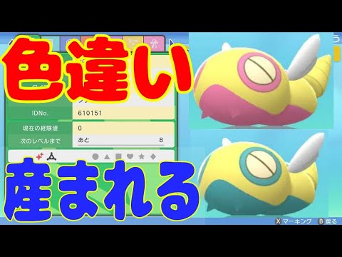 色違いのノコッチが生まれる瞬間【#shorts 】