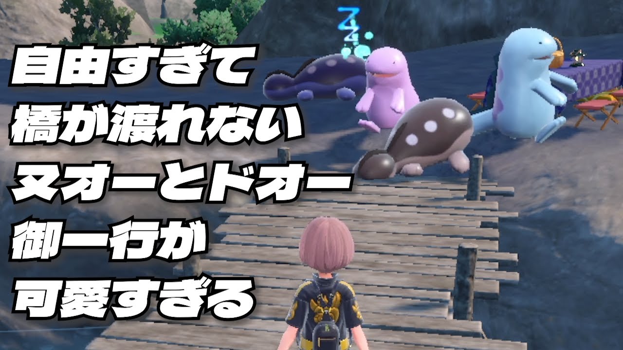自由すぎて橋が渡れないヌオーとドオーたちが可愛い【ポケモンSV】