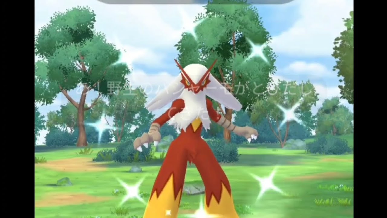 ポケモンGO　今日の色違い　バシャーモ　マメパト