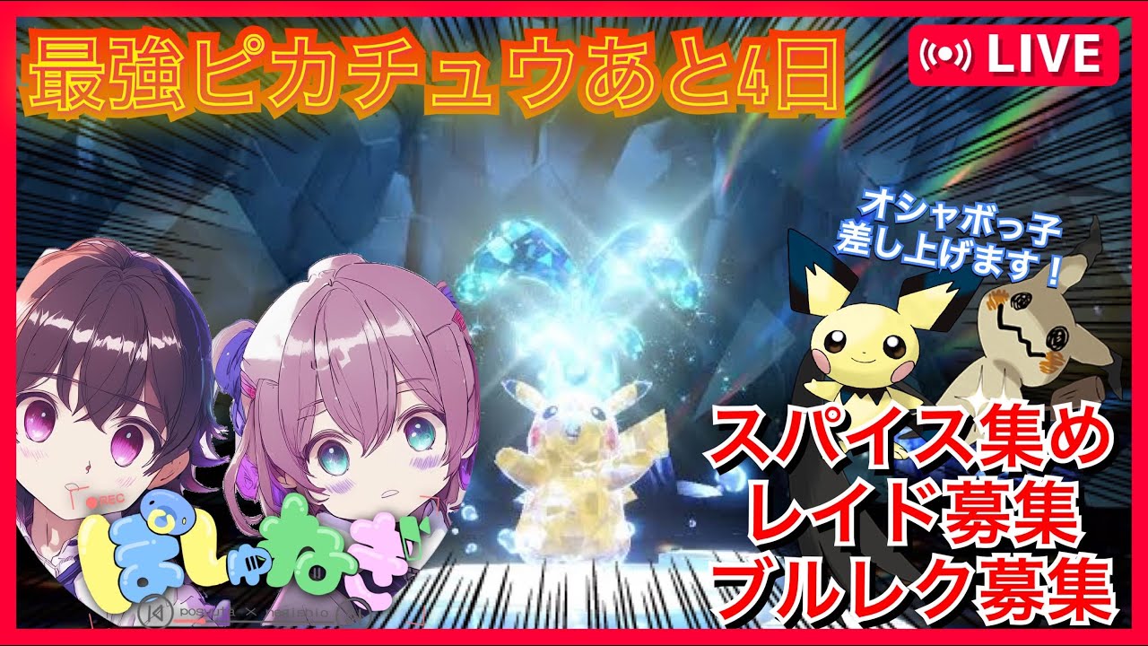 【最強ピカチュウレイドでスパイス集め！】オシャボピチュー＆ミミッキュ配布会【ポケモンSV　ポケモン配布　ポケモン交換　pokemon　ブルレク】