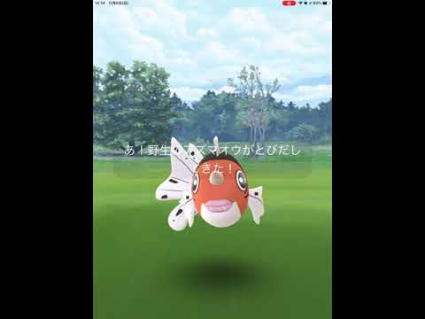【ポケモンGO】初めて、野生のアズマオウに遭遇！