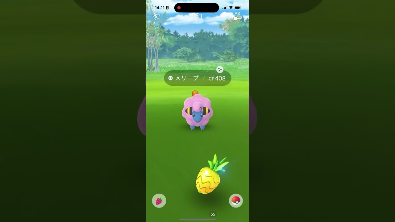 ポケモンストーリーズ「メリープコミュニティ•デイ復刻」Part.1#shorts