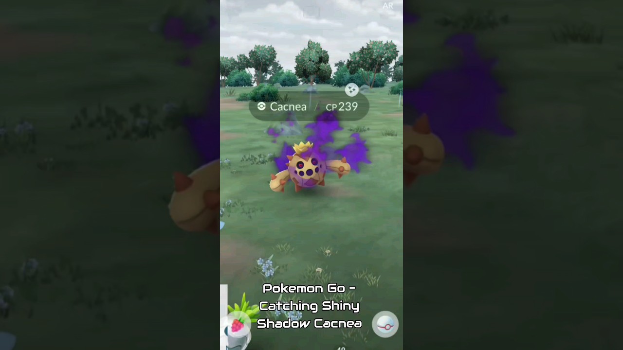 Pokemon Go - Catching Shiny Shadow Cacnea! #pokemongo #pokemongoraids #pokemon