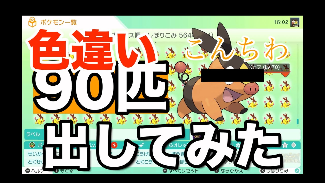 【非必見】ポカブの色違い90匹だそっかなーー【ポケモンsv】【イッシュ地方色違い１ボックス】
