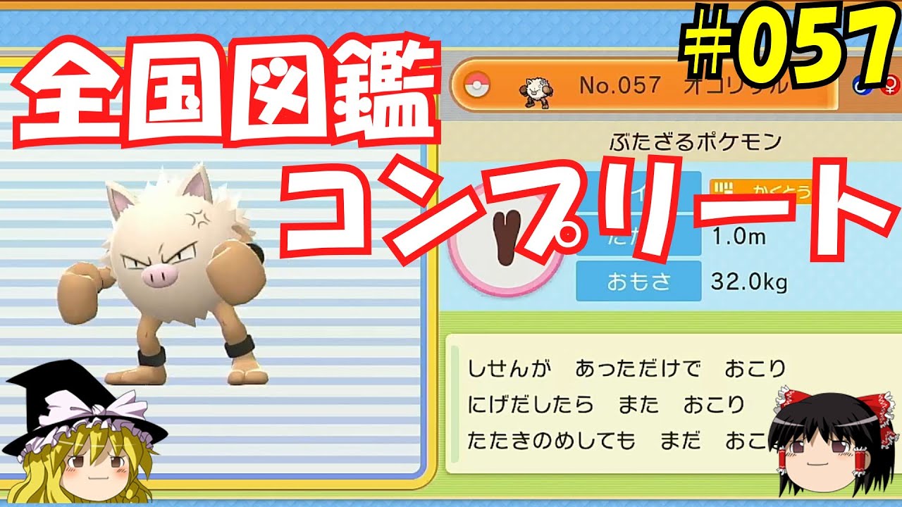 【毎日投稿】1日1匹ぜんこく図鑑登録 #オコリザル【ゆっくり実況】