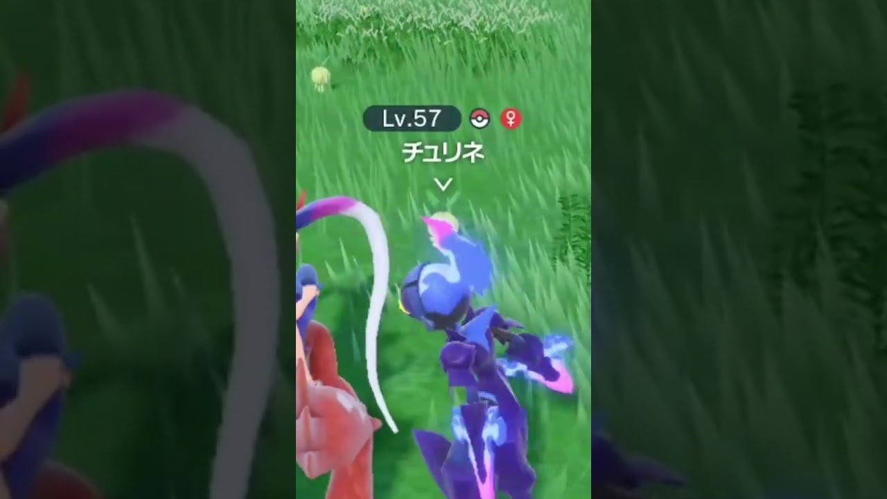 倒せないから 色違い かと思った チュリネ #shorts #ポケモンsv #碧の仮面 #碧の円盤