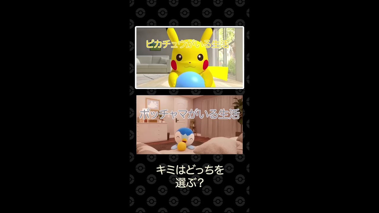 【公式】ピカチュウがいる生活・ポッチャマがいる生活