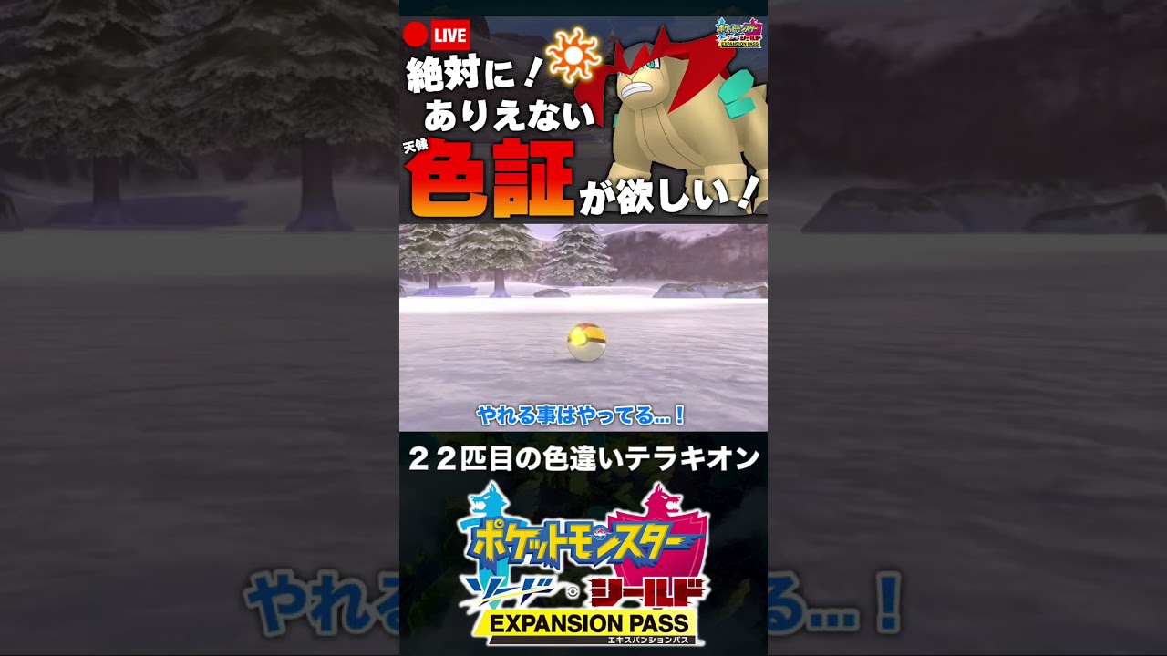 22匹目の色違いテラキオンと邂逅した男【ポケモン剣盾】 #shorts