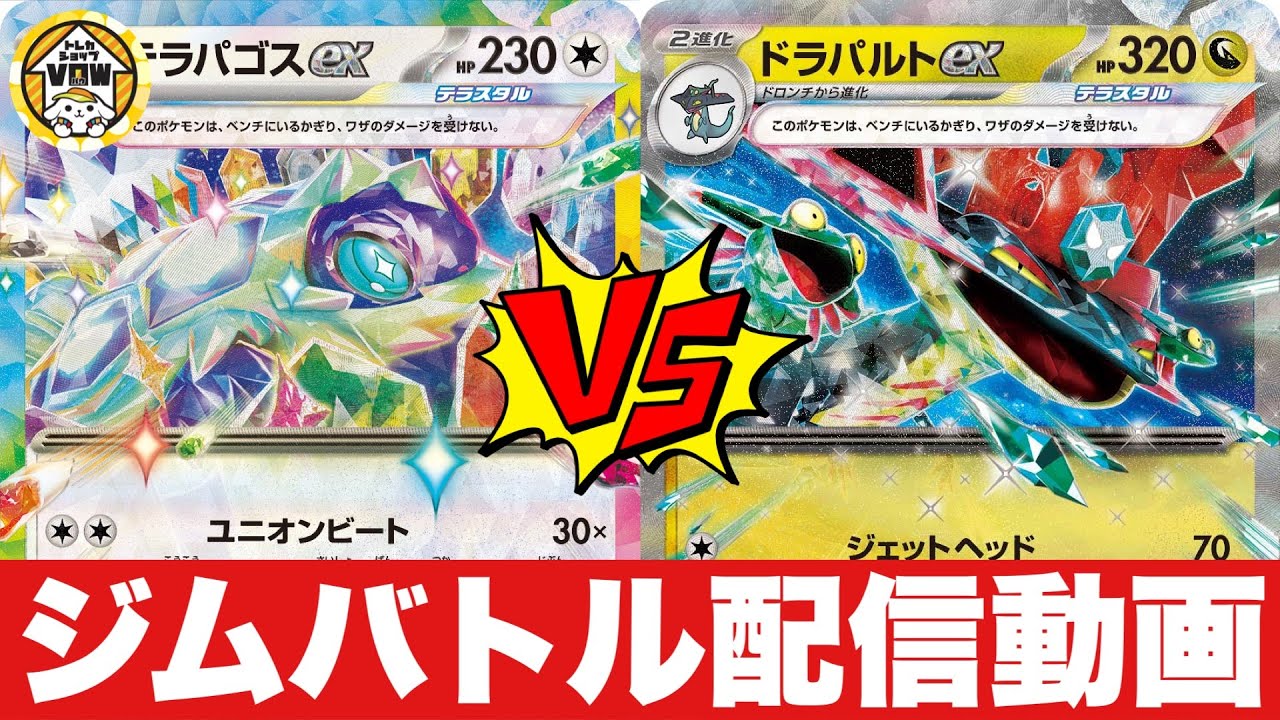 【ジムバトル】テラパゴスピジョット（めこ）🆚ドラパルトピジョット（ふぁん）【ポケカ対戦】