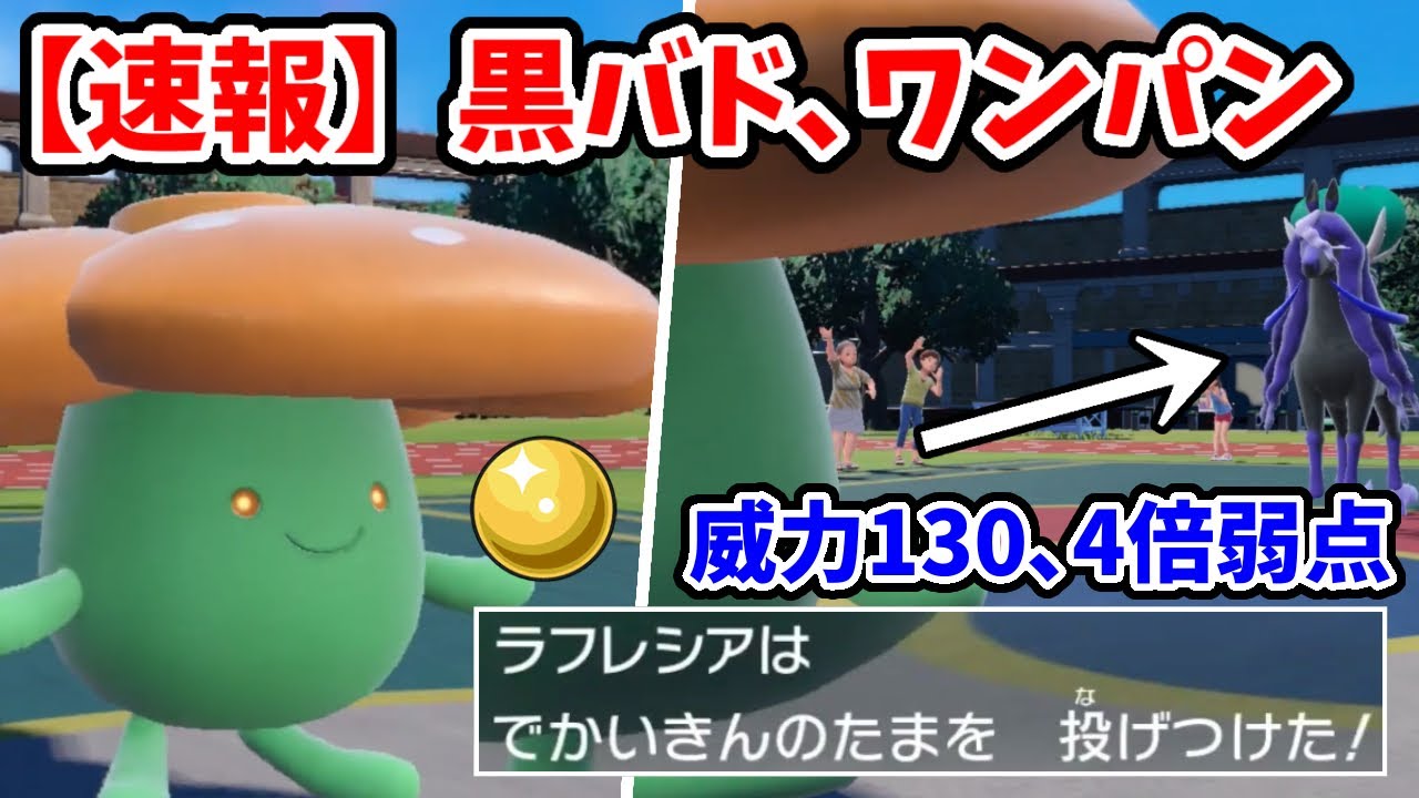 【ポケモンSV】黒バドレックスに”でかいきんのたま”をなげつけるラフレシアがヤバいwwww