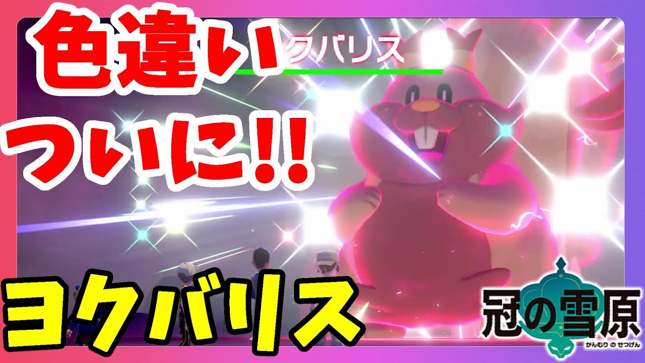 【ポケモンソードシールド】色違いヨクバリスついに！期間限定ギリギリ！執念でゲット！冠の雪原【エキスパンションパス】