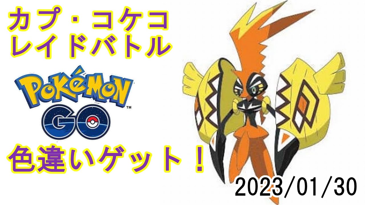 ポケモンGOカプ・コケコレイドバトル2023/01/30 - 色違いゲット！