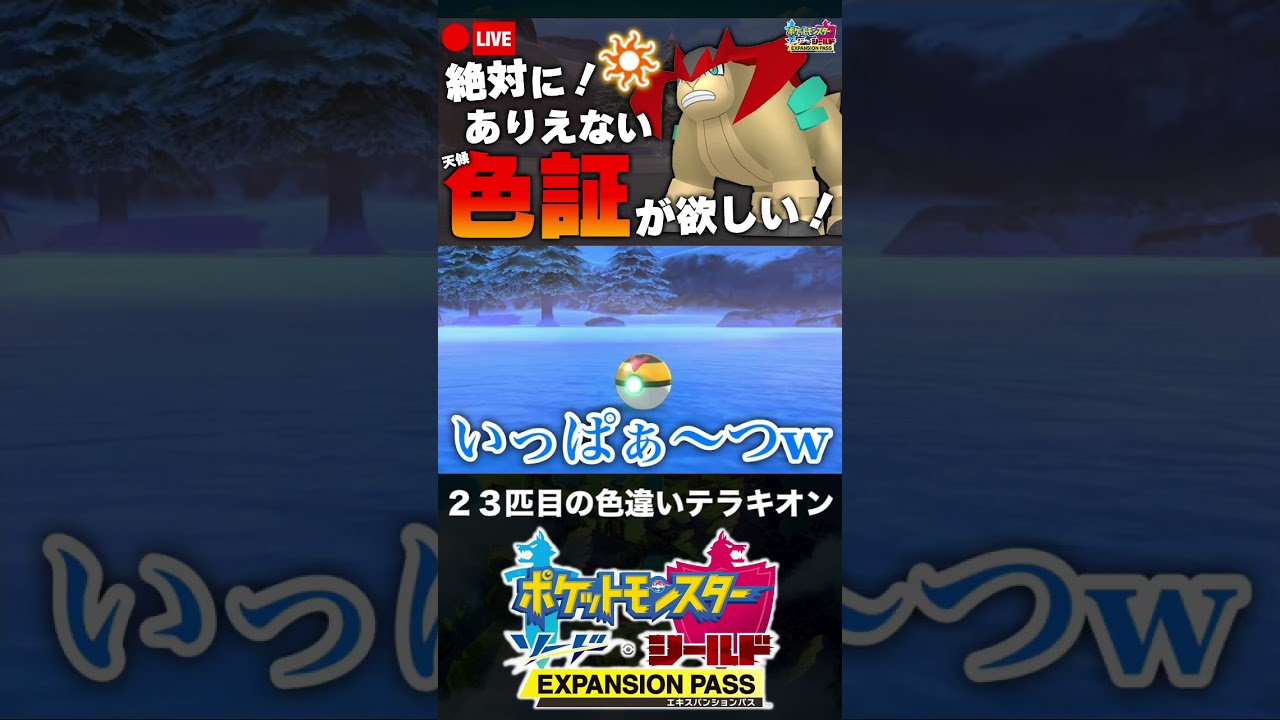 23匹目の色違いテラキオンと邂逅した男【ポケモン剣盾】 #shorts