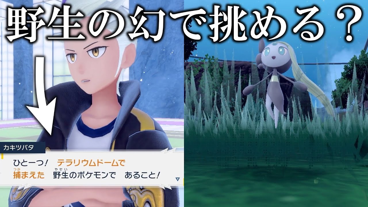 【検証】野生限定の四天王チャレンジに幻「メロエッタ」でも挑めるのか？【ポケモンSV/藍の円盤/ゼロの秘宝】