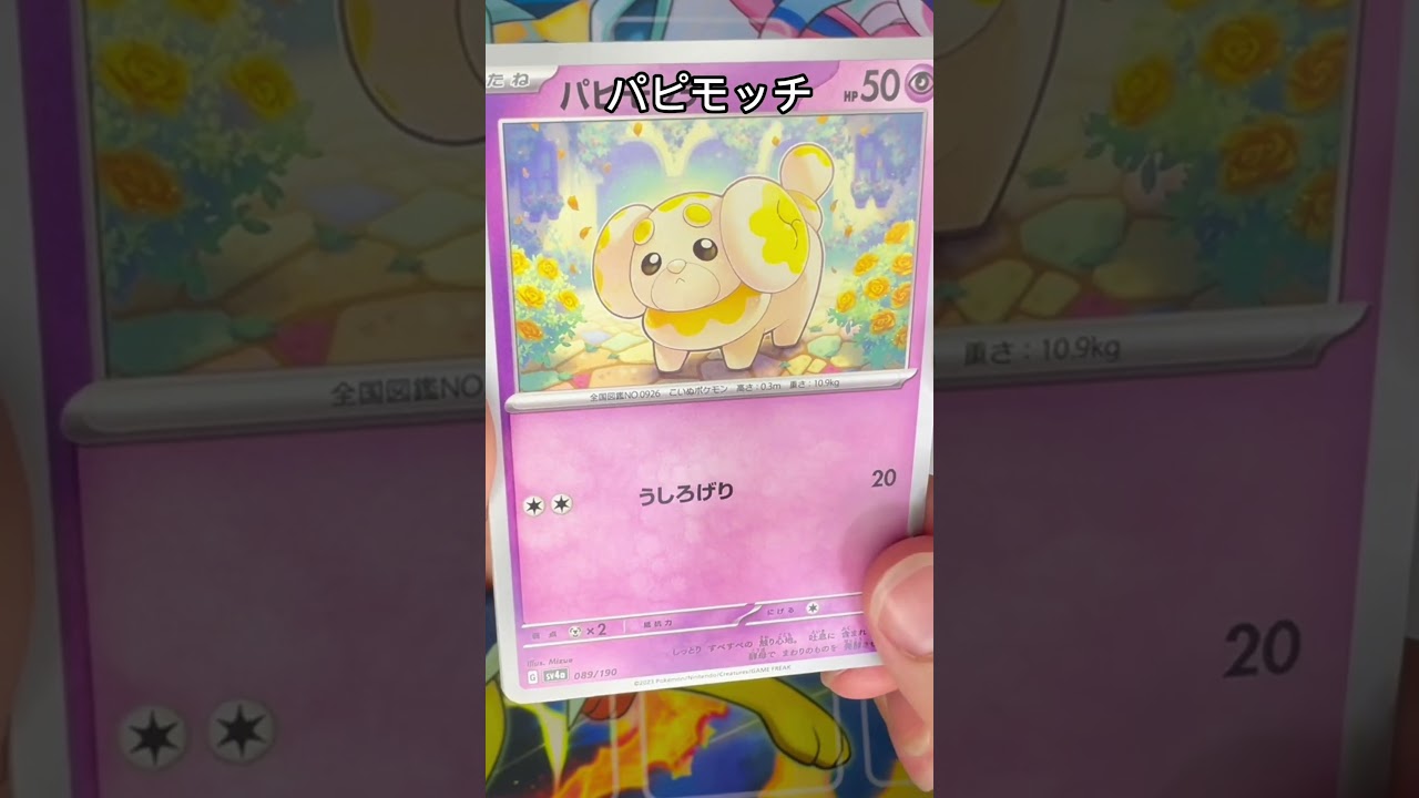 【毎日ポケモンクイズ】次の進化系をコメントで答えてね✨️ミミロル→○○○○○#ポケモンカード #ポケカ開封 #ポケモン #ポケモンクイズ #1日1パック開封#ポケモンクイズ