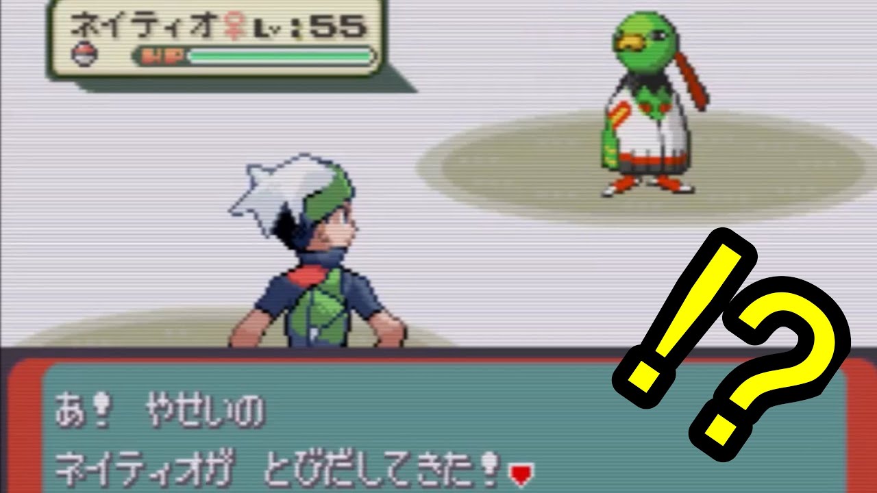 エメラルドで野生のネイティオが出現するエリアを発見しました。【バトルフロンティア完全制覇】