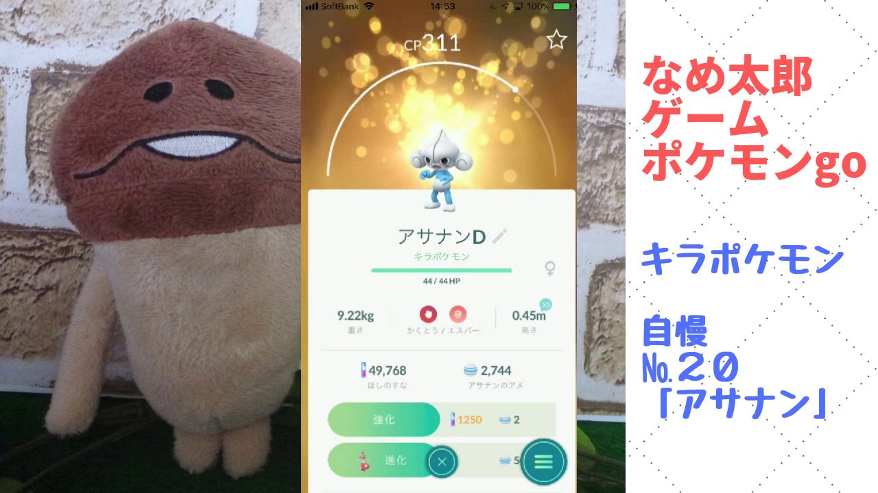 【ポケモンgo】なめ太郎のキラポケモン自慢コーナーナンバー２０、「アサナン」