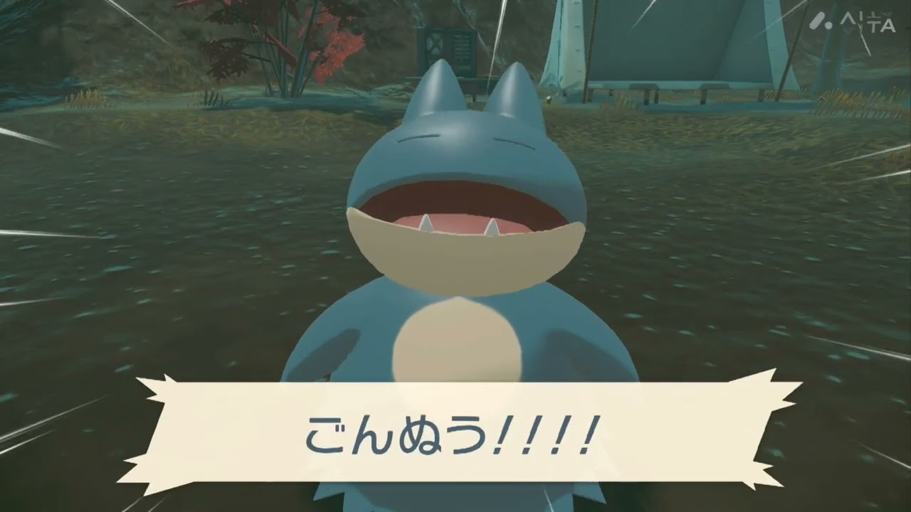 ゴンベとポケモン大大大発生💕