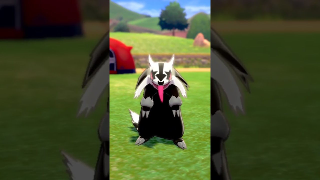 ガラルマッスグマ Linoone【ポケモン剣盾】