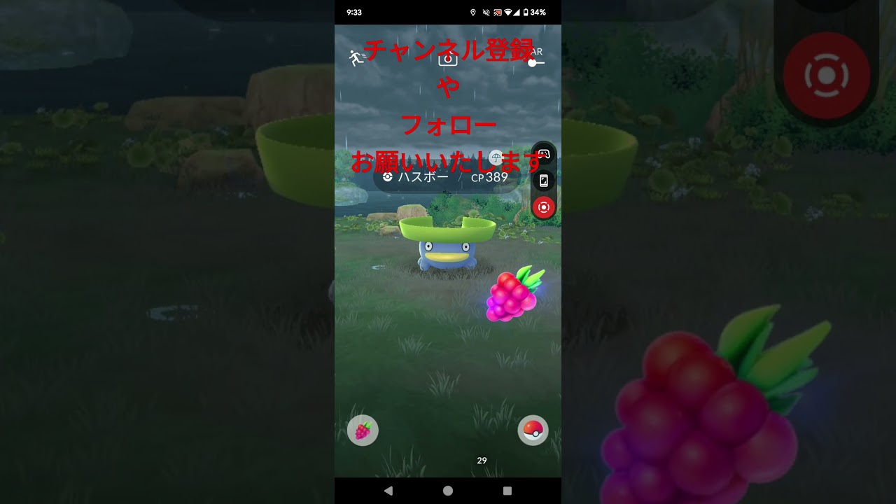 20240728のポケモンGO1のハスボー